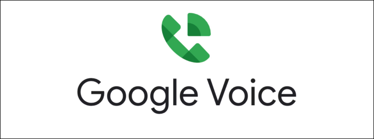 google voice ...